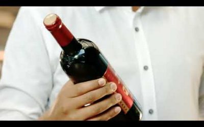 Gouder Wine TV Commercial for the New Year (2010)